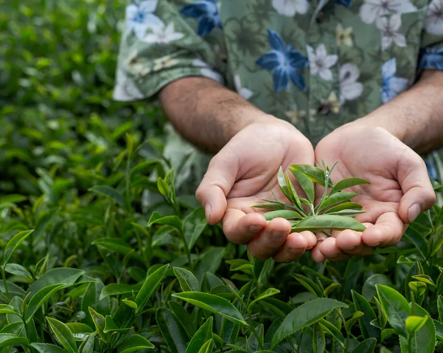 想了解更多即时比分，实时更新相关内容，尽在开云体育下载。 - 开云体育下载
