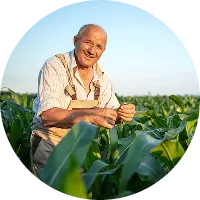 Revolutionizing the Way  Food is Grown - 开云体育下载