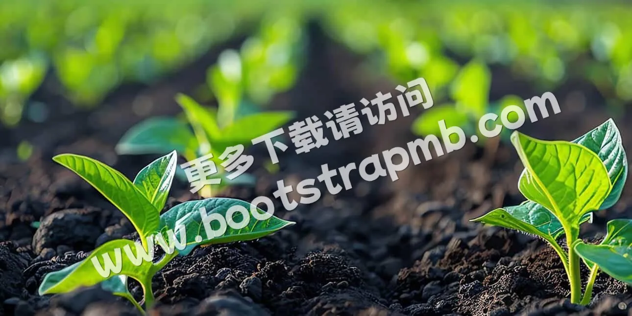 Location - 开云体育下载