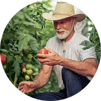 Organic Farming - 开云体育下载